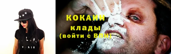 прущие грибы Липки