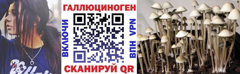 закладка Абинск блэк спрут онион Галлюциногенные грибы ЛСД